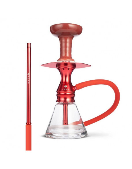 CHICHA TSAR NITRO NX