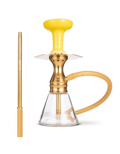 CHICHA TSAR NITRO NX