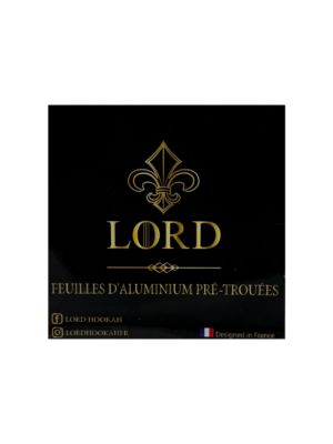 Aluminium troué LORD x100